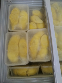 Durian Kupas Montong Sulawesi