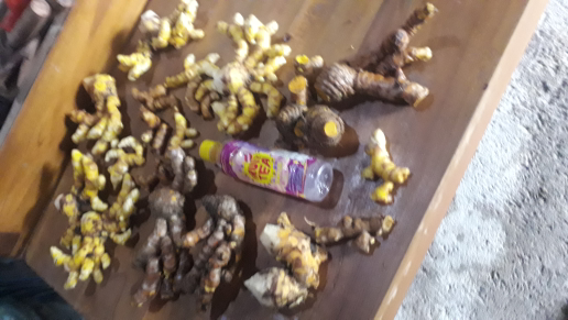 rempah rempah