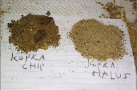 Bungkil kopra