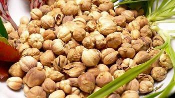 jual kapulaga murah