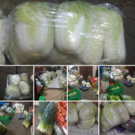 jual sayuran segar