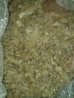 Getah Damar Kopal