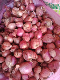 bawang merah
