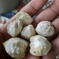 kemiri
