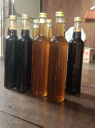 Madu Sialang