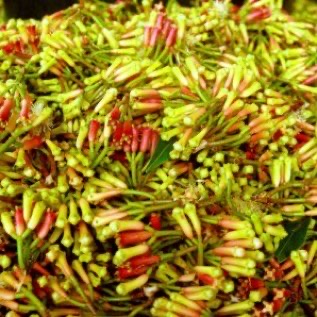 lada putih dan cengkeh stok banyak ada beberapa ton