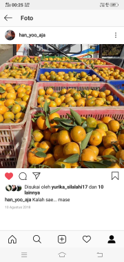 siyem madu malang
