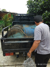 paket indukan gurame soang / bastard