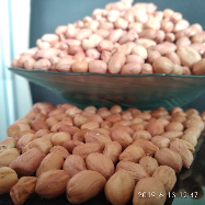 Jual Kacang Tanah India Murah