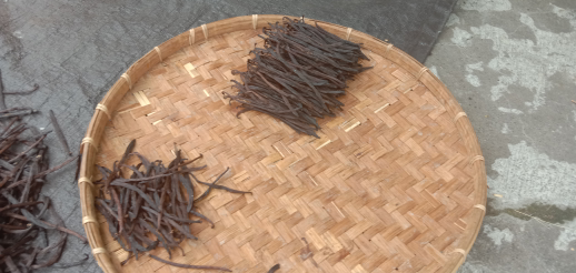 jual vanili kering daerah bali