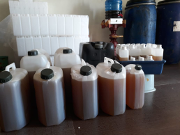 madu murni