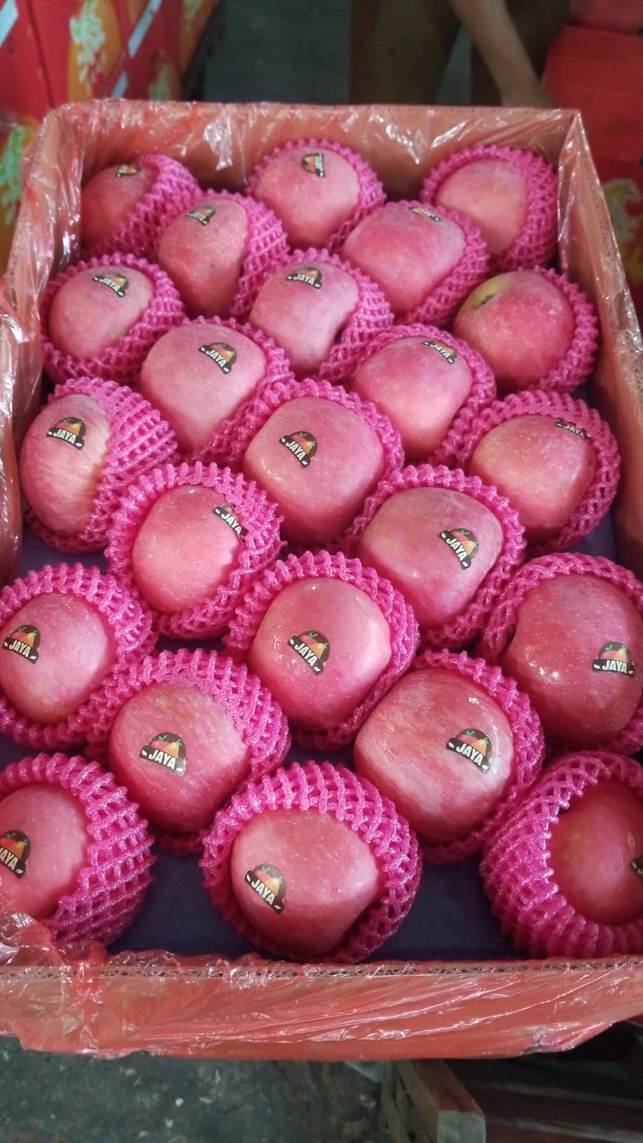 Buah Apel Fuji 125pcs