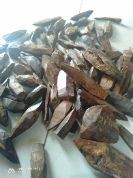 kayu gaharu buaya
