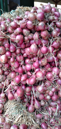 Bawang Merah