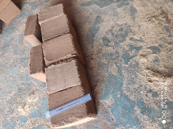 media tanam modern cocopeat