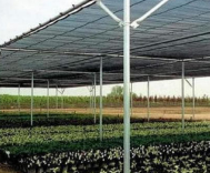 paranet 60% lebar 3 meter hdpe murni (meteran)