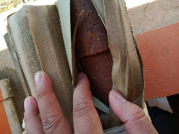 Gula Aren Asli