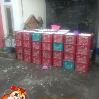 kami jual daging kelapa segar dan fress