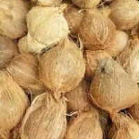 KELAPA TUA