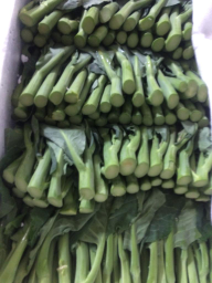 kalilan
