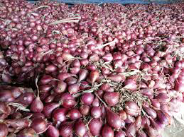 Bawang Merah Berkualitas