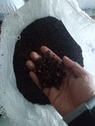 Cengkeh Kering