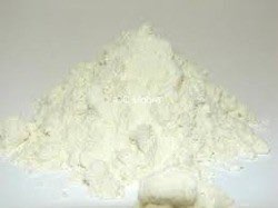 WHEY PROTEIN CONCENTRATE 80%