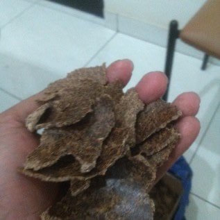 Menjual Bahan Baku Pakan Ternak