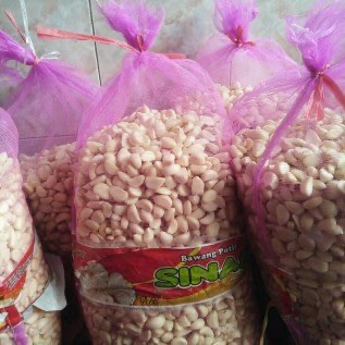 Jual Bawang Putih Kupasan (Honan)