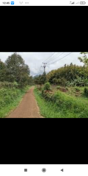 jual tanah