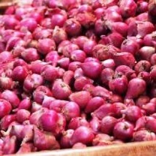 JUAL BAWANG MERAH APEL