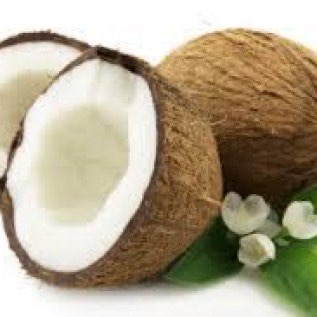 Jual Kelapa Tua Super - Kualitas oke Harga Murah