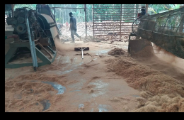Cocopeat