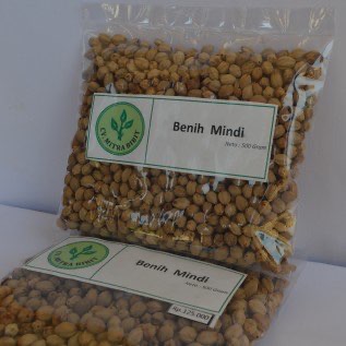 Biji/Benih Mindi super berkualitas 