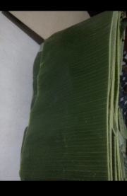 daun pisang