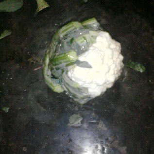 Menjual Kembang Kol