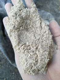 Jual Tepung halus Limbah Pongkol Singkong untuk pakan sapi