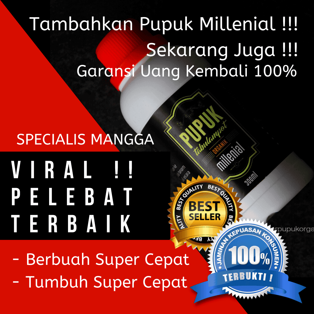 Pupuk Mangga Biar Cepat Berbuah, Pupuk Mangga Terbaik, Pesan Sekarang Juga !!