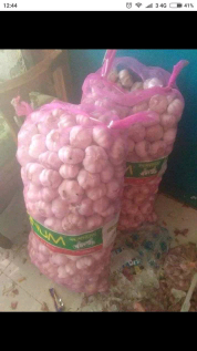 bawang putih
