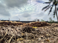 kayu bakar