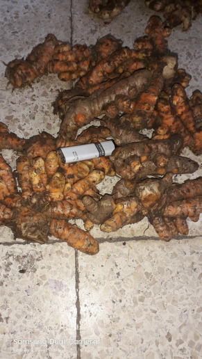 kunyit basah asalan