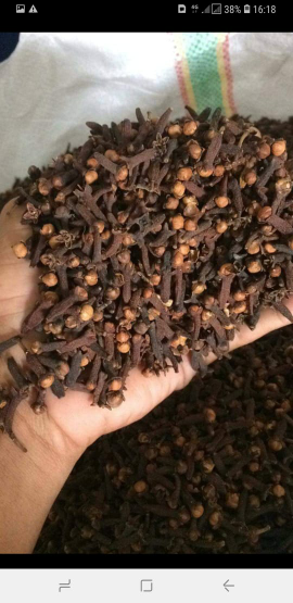cengkeh kering super