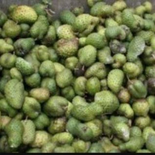 Buah Sirsak