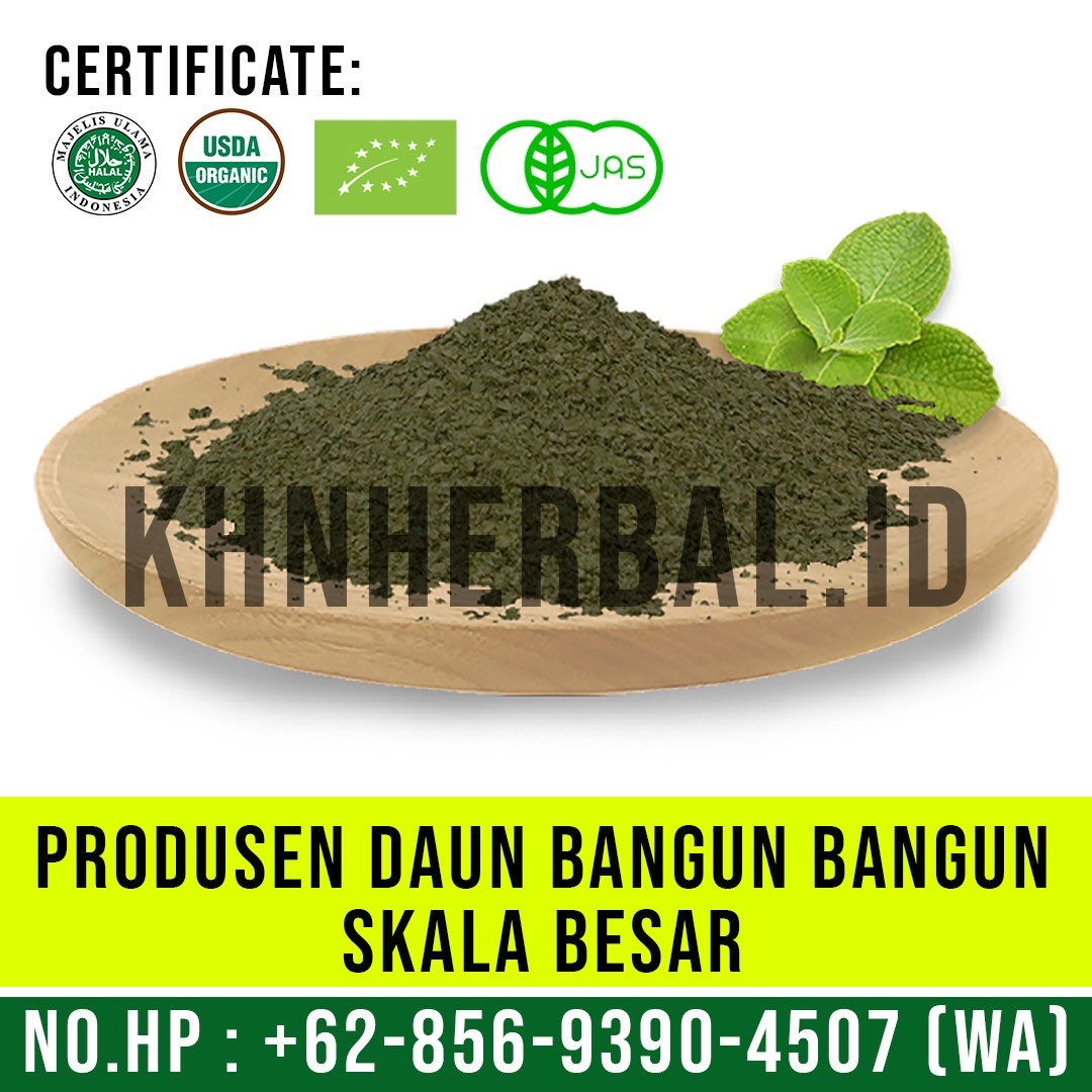 Bubuk Daun Bangun Bangun Lokal (Coleus amboinicus Powder)