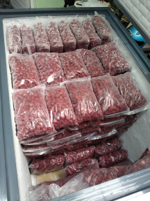 raspberry frozen