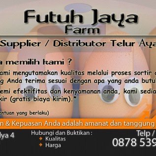 Jual telur ayam ras / horn berkualitas, Murah tidak murahan ;)