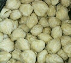 JUAL KEMIRI KUPAS BULAT ISTIMEWA asal SUMBA NTT