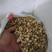 kapol kapulaga kering 1 kg herbal