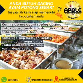 ayam broiler