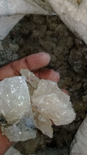 jual getah damar all warna